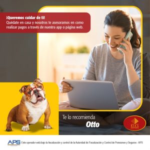 bisa-seguros-presenta-otto-seguridad