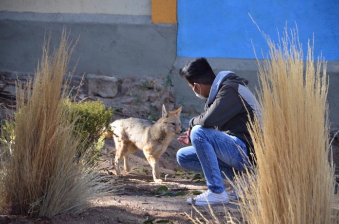 ministerio-medio-ambiente-devuelve-al-antonio-oruro