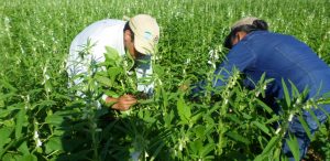 agricultura-familiar-representa-el-92-por-ciento-unidades-productivas-agricolas