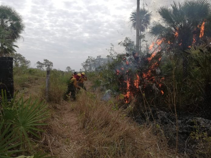 sobrevuelo-parque-otuquis-permite-evaluar-mitigar-incendio