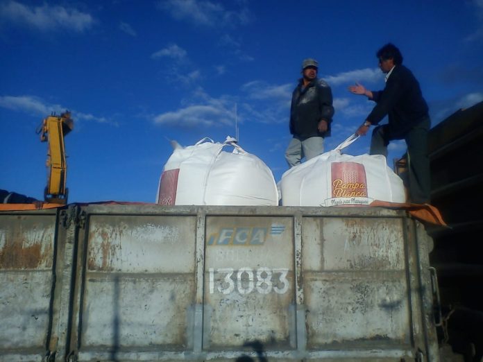 ferroviaria-andina-durante-cuarentena-transporto-toneladas-alimentos