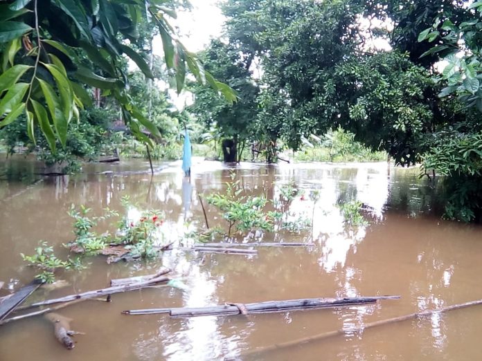 bolivia-registra-36839-hectareas-de-cultivos-afectadas-por-riadas-e-inundaciones