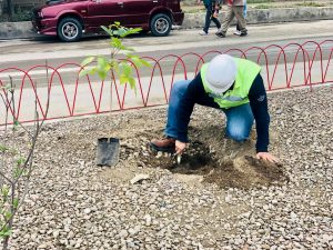 embol-apoya-el-dia-mundial-del-agua-con-la-siembra-de-arboles-en-cochabamba