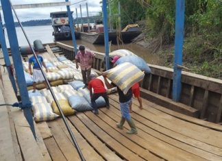 168 familias de la TCO Tacanas II beneficiadas con plan de negocio de la castaña 168-familias-de-la-tco-tacanas-ii-beneficiadas-con-plan-de-negocio-de-la-castaña