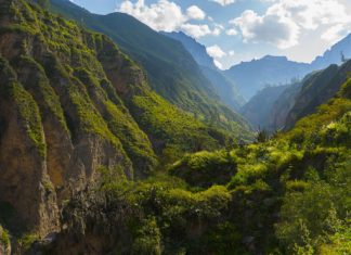 Bolivia celebra el Día de la Madre Tierra con ratificatoria de vocación por el cuidado del planeta bolivia-celebra-dia-de-la-madre-tierra-con-ratificatoria-vocacion-por-cuidado-del-planeta