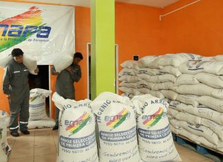Emapa facilita semillas, agroquímicos y diésel a crédito a los agricultores emapa-facilita-semillas-agroquimicos-y-diesel-a-credito-a-los-agricultores