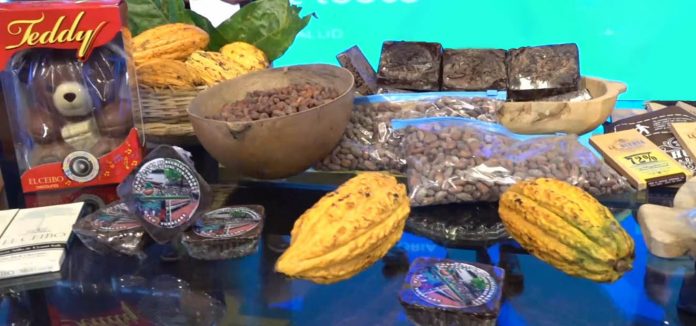 envian-las-seis-mejores-muestras-de-cacao-boliviano-al-torneo-cocoa-of-excellence-paris-2021