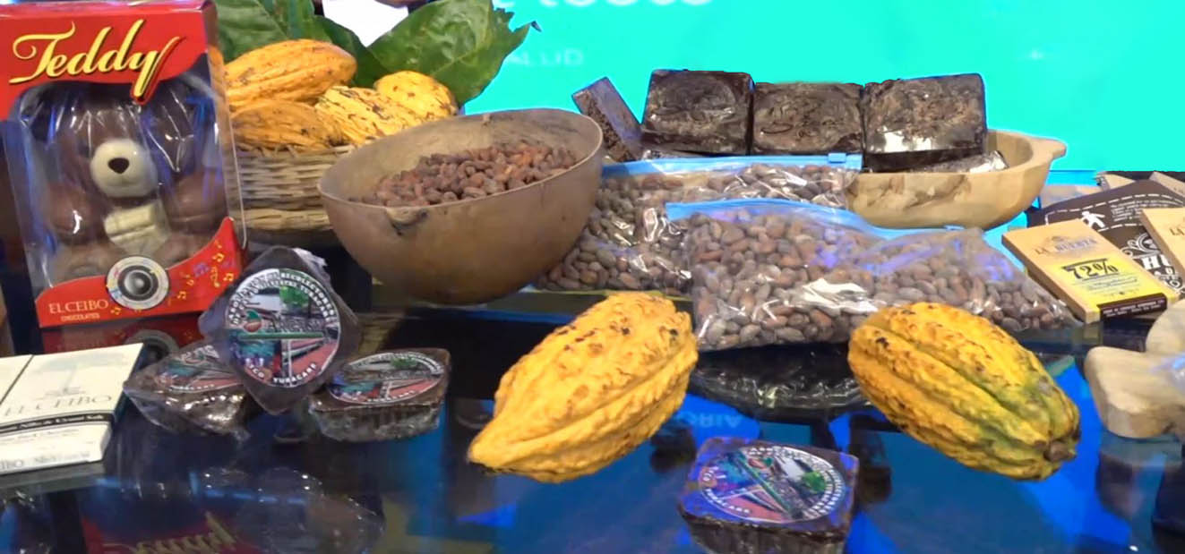 Envían las seis mejores muestras de cacao boliviano al torneo "Cocoa of Excellence, París 2021"