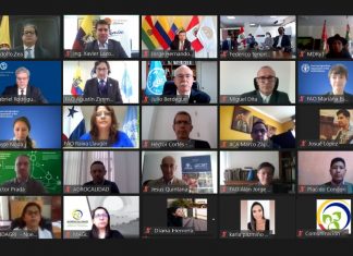 Países de la Comunidad Andina unen esfuerzos para prevenir dispersión de plaga fusarium paises-comunidad-andina-unen-esfuerzos-para-prevenir-dispersion-plaga-fusarium