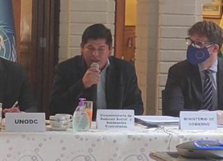 Bolivia prevé racionalizar 49.000 hectáreas de coca excedente hasta 2025 bolivia-preve-racionalizar-49000-hectareas-de-coca-excedente-hasta-2025