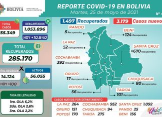 COVID-19: Esta Jornada se registraron 3.179 nuevos casos del virus y la cifra de fallecidos se elevó a 14.124 covid-19-esta-jornada-registraron-3179-nuevos-casos-del-virus