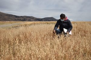 gobierno-evalua-areas-cultivo-afectadas-por-fenomenos-climaticos