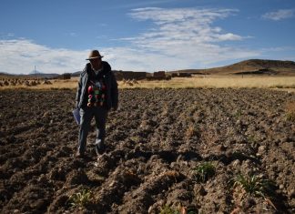 La Paz: Gobierno evalúa áreas de cultivo afectadas por fenómenos climáticos gobierno-evalua-areas-de-cultivo-afectadas-por-fenomenos-climaticos