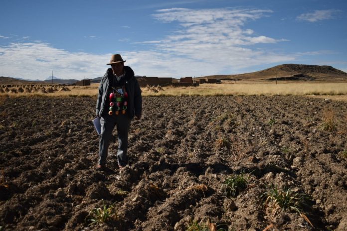 gobierno-evalua-areas-de-cultivo-afectadas-por-fenomenos-climaticos