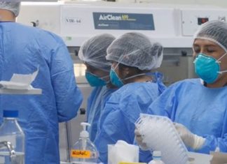 INTI agasaja a las enfermeras de Bolivia con un concierto virtual gratuito inti-agasaja-a-las-enfermeras-de-bolivia-con-un-concierto-virtual-gratuito