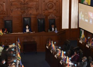 Montaño ante el Senado aclara que vuelos de Chimoré fueron realizados por escuelas de aviación montaño-ante-senado-aclara-que-vuelos-de-chimore-fueron-realizados-por-escuelas-aviacion