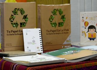 Papelbol proyecta generar ingresos por más de Bs 40 millones en ventas este 2021 papelbol-proyecta-generar-ingresos-mas-de-bs-40-millones-en-ventas-2021