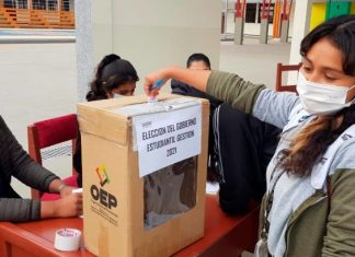 179 unidades educativas de Tarija y Potosí eligieron a sus nuevos gobiernos estudiantiles 179-unidades-educativas-de-tarija-y-potosi-eligieron-nuevos-gobiernos-estudiantiles