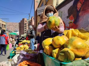 consolidan-mercado-de-la-agricultura-familiar-con-precio-justo