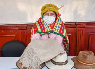 Festillama presentará productos derivados de camélidos en El Alto festillama-presentara-productos-derivados-camelidos-en-el-alto