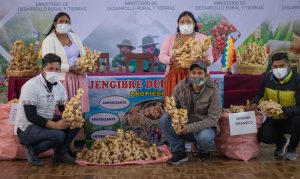 incrementan-la-produccion-jengibre-en-cochabamba-la-paz