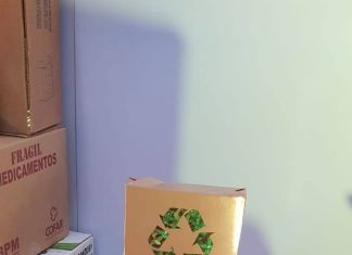 Papelbol: Administración del gobierno de Áñez dejó estocado Bs 7 millones en almacenes papelbol-administracion-del-gobierno-de-añez-dejo-estocado-bs-7-millones-en-almacenes