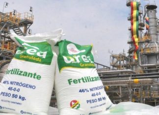PAU reanudará operaciones con 2.100 toneladas de producción del fertilizante pau-reanudara-operaciones-con-2100-toneladas-de-produccion-del-fertilizante