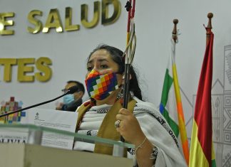 Viviana Camacho es la nueva directora General de Medicina Tradicional viviana-camacho-es-la-nueva-directora-general-de-medicina-tradicional