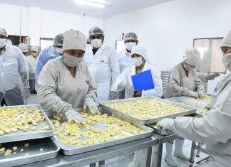 Planta Liofilizadora de Frutas de EBA generará 510 empleos la-nueva-planta-liofilizadora-de-frutas-de-la-empresa-bolivianade-alimentos