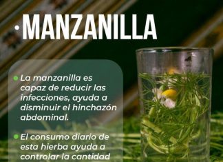 Medicina tradicional: La manzanilla y sus 10 beneficios que nos da para aliviar la salud manzanilla-y-sus-10-beneficios-que-da-para-aliviar-la-salud-