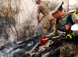 Efectivos navales sofocan incendio forestal en Riberalta efectivos-navales-sofocan-incendio-riberalta