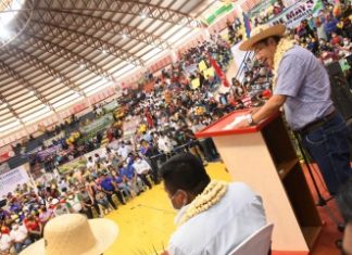Luis Arce: El Gobierno apoyará en la industrialización de productos amazónicos para que Pando se incorpore al desarrollo nacional el-gobierno-apoyara