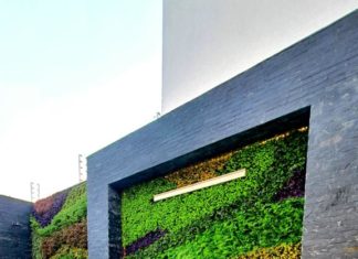 Jardín Exótico: empresa pionera en diseño y tecnología de Jardines Verticales de Bolivia empresa-pionera-en-diseño-y-tecnologia-de-jardines-verticales-de-bolivia