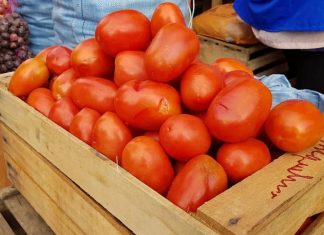 INE: Inflación registró variación positiva de 0,15% en julio ine-inflacion-registro-sifra-positiva