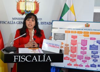 Fiscalía atendió 26.696 casos de víctimas de violencia en todo el país “No estás sola, denuncia!!” pilar-diaz-victimas-de-violencia-en-todo-el-pais