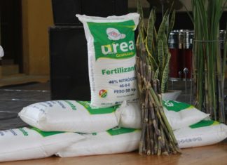 YPFB: La tonelada de urea tiene un precio «muy accesible» en el mercado boliviano urea