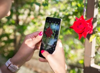 Explora tu creatividad fotográfica y gana uno de los nuevos Smartphones de la serie Nova explora-huawey