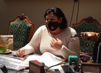 Caso Quiborax: Aprueban juicio de responsabilidades contra Carlos Mesa senadora-patricia-quiborax-caso