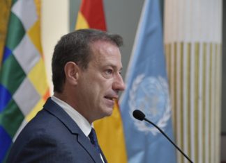Informe de UNODC devela incremento del 15% en el cultivo de coca excedentaria el 2020 thierry-rostan-undococ-hoja-de-coca