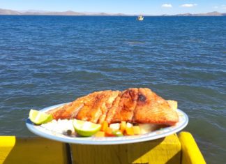 Gastronomía y artesanía destacaron en la XVI Feria del Pescado 2021 en Huatajata gastronomia-huatajata-feria-pescado