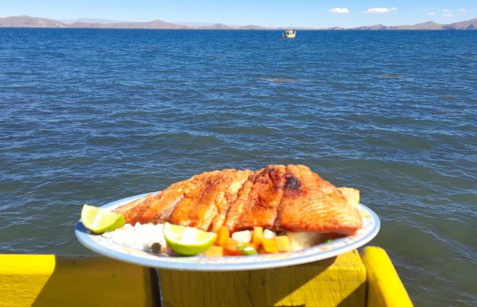 gastronomia-huatajata-feria-pescado