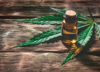 Autorizan uso de cannabis medicinal de manera excepcional para una menor autorizan-uso-de-canabis-medicinal