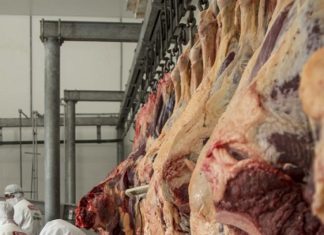 Ganaderos rechazan justificativos para el alza en el precio de la carne carne-ganaderos-alza-de-carne