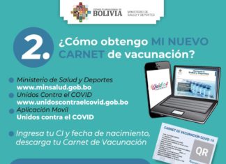 Agetic: Carnet de vacunación cuenta con firma digital y protocolo de seguridad internacional carnet-de-vacunacion-