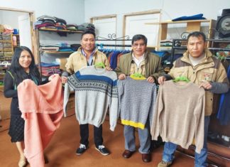 Equipan centros de transformación para mejorar la producción de derivados de camélidos equipan-derivados-de-camelidos-