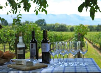 Blanco: Unión Europea abre su mercado a la exportación de vinos bolivianos exportacion-de-vinos-union-europea