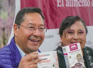 El Gobierno apoyará industrialización y exportación de la cañahua pito-de-cañahua-industrializacion