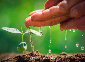 Arce: Avanza la industrialización con la implementación de nuevas plantas de bioinsumos y minerales arce-bioinsumos-industrializacion