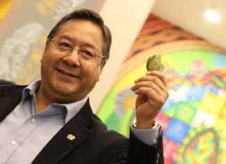 Bolivia instalará planta de fabricación de pasta dentífrica de hoja de coca dia-del-acullicu-bolivia