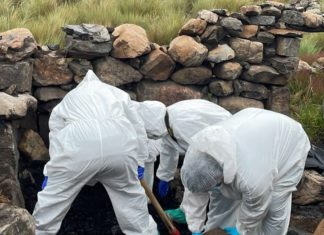 Detención preventiva para sujeto investigado por un feminicidio en agosto de 2021 feminicidio-cochabamba-2021